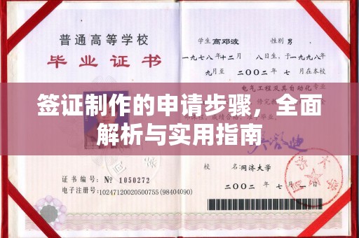 西港签证制作的申请步骤，全面解析与实用指南