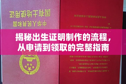 西港揭秘出生证明制作的流程，从申请到领取的完整指南