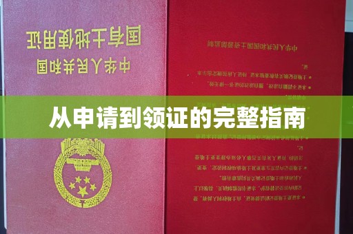 西港从申请到领证的完整指南
