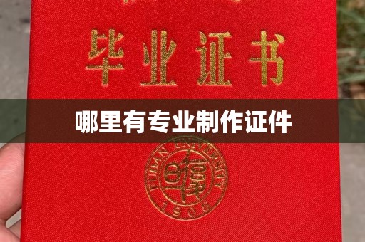 西港哪里有专业制作证件