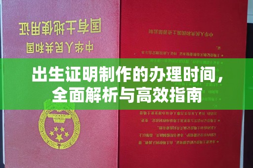 西港出生证明制作的办理时间，全面解析与高效指南
