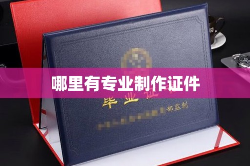 西港哪里有专业制作证件