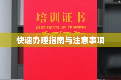 西港快速办理指南与注意事项